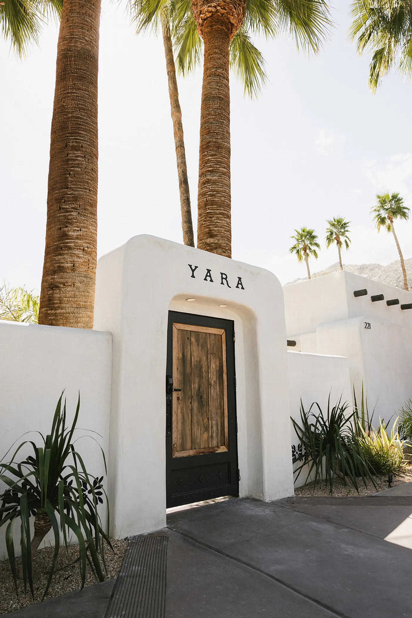 Yara's wooden entry door in a white stucco wall, framed by palms and desert plants