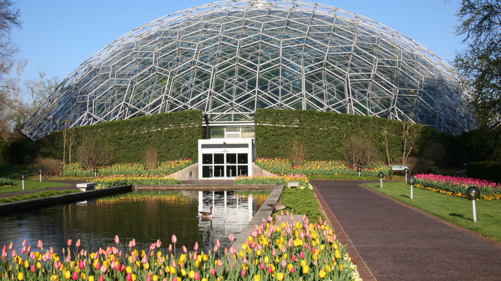 5 Reasons to Explore the Missouri Botanical Garden