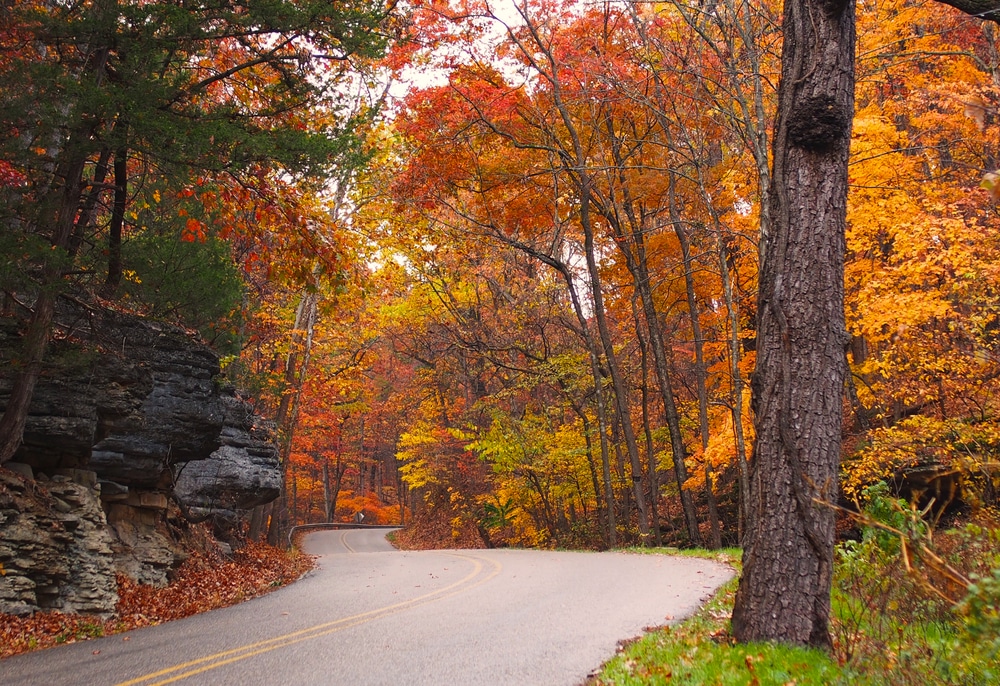 8 Best Ways to Enjoy Fall Foliage in Eureka Springs Arkansas