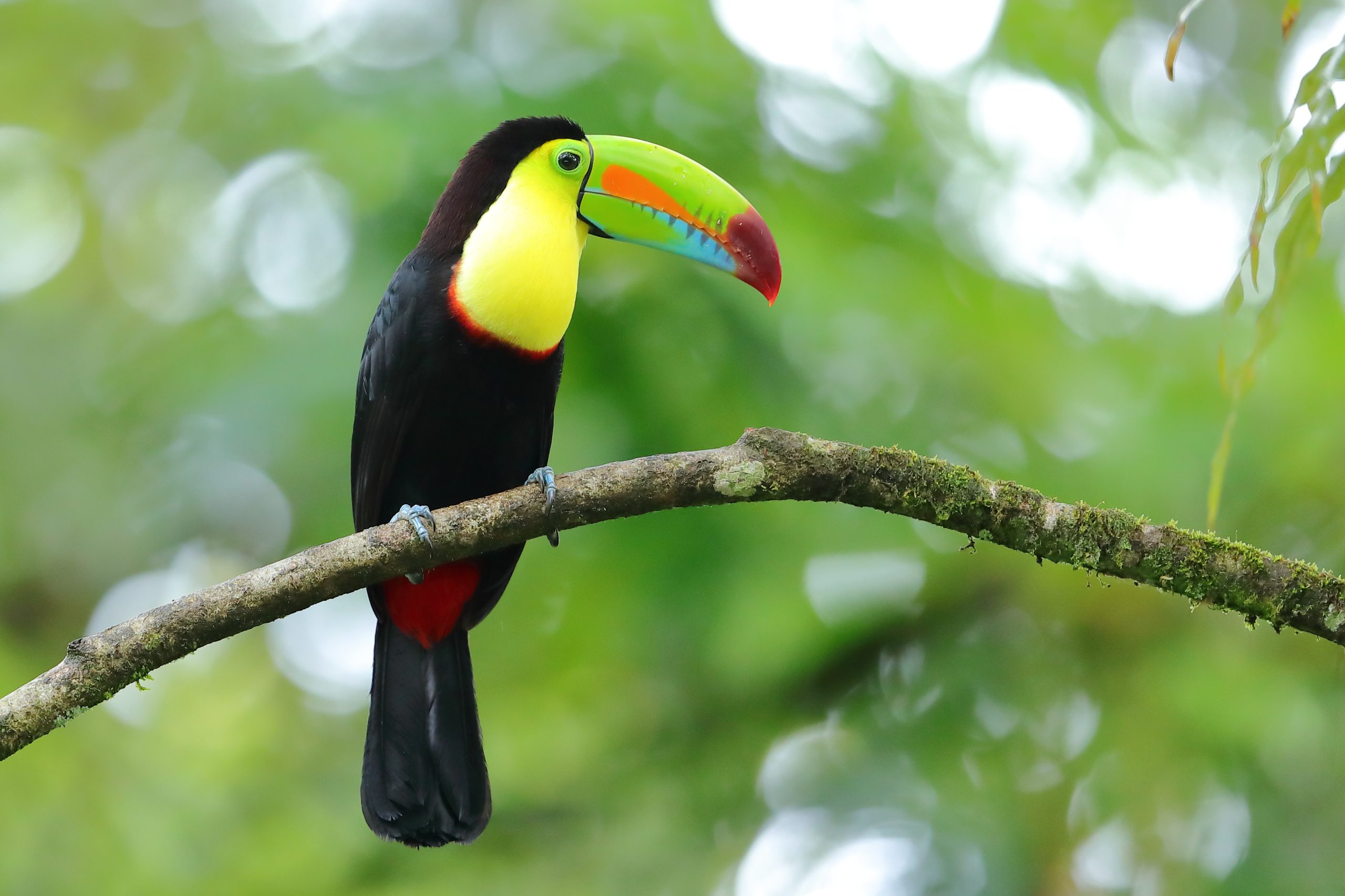 Ecotourism in Costa Rica