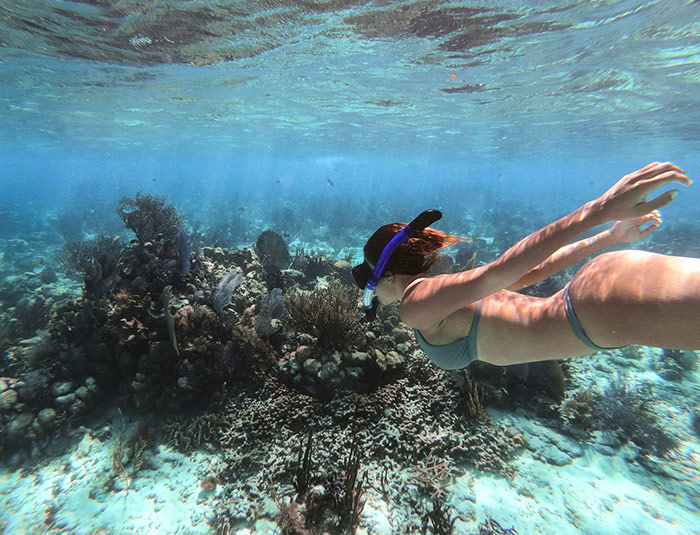 A snorkeler swimming above coral on a guided Belize reef excursion