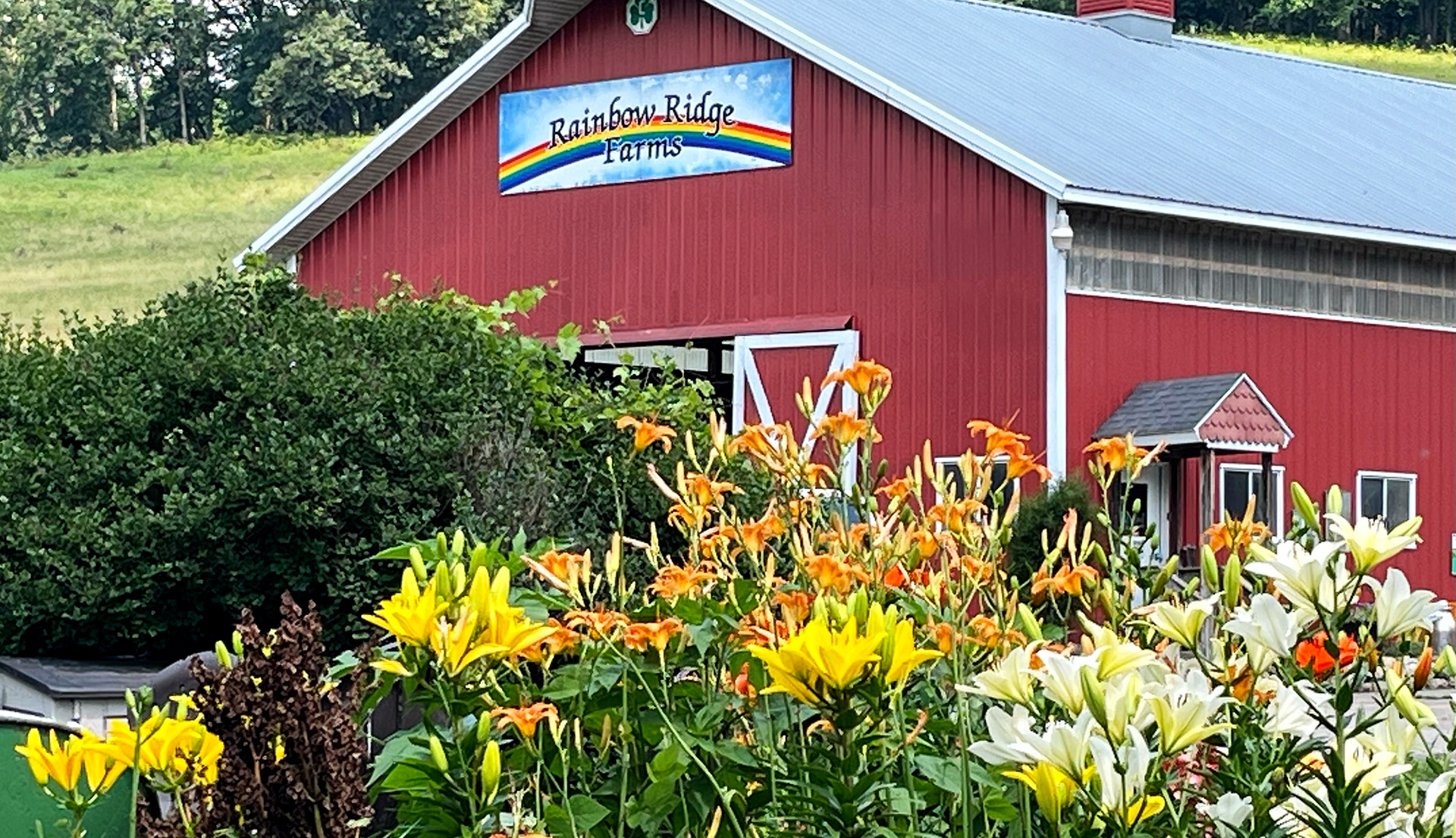 Rainbow Ridge Farms photo 2