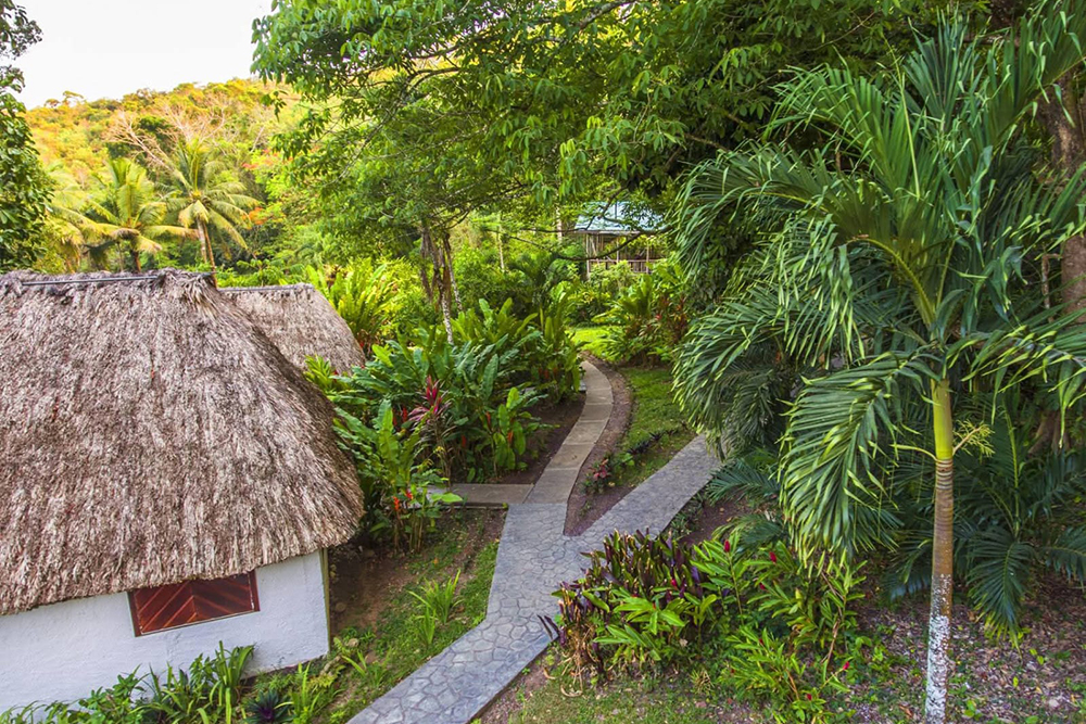 Maya Mountain Lodge in San Ignacio
