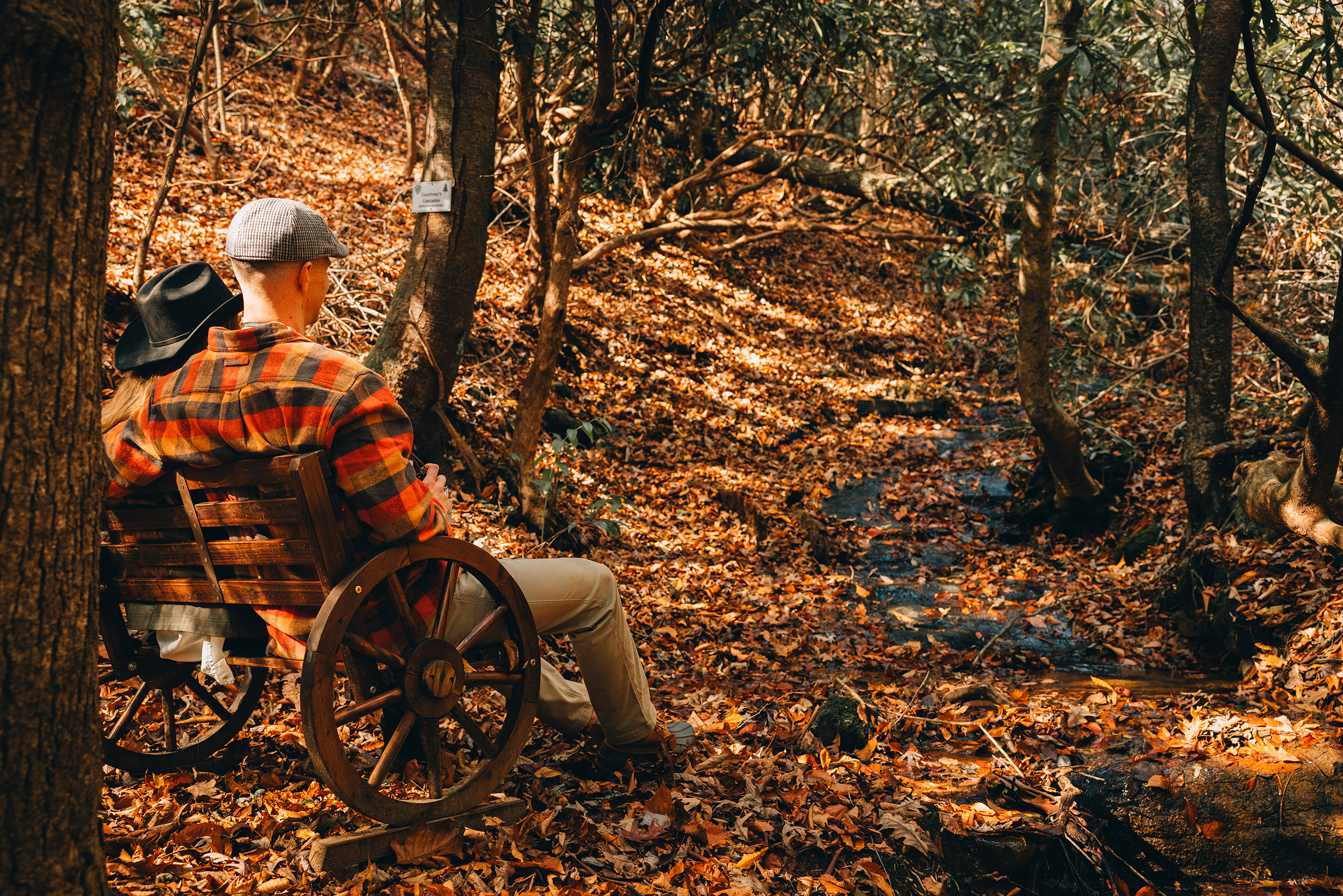 A couple resting on a wooden bench beside a forest stream on the Nuwati Trail