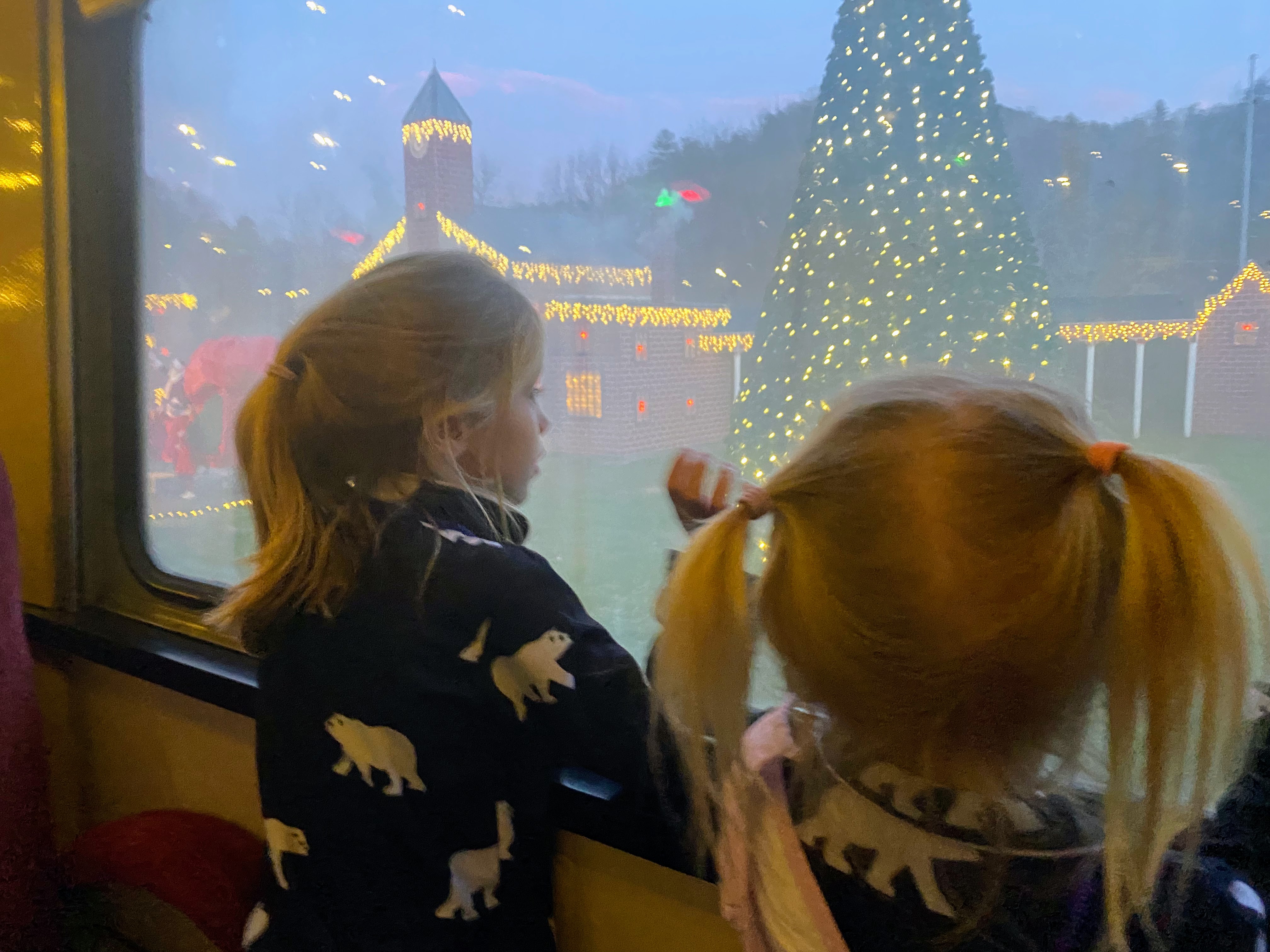 Children watching Christmas lights from the Polar Express train in Bryson City