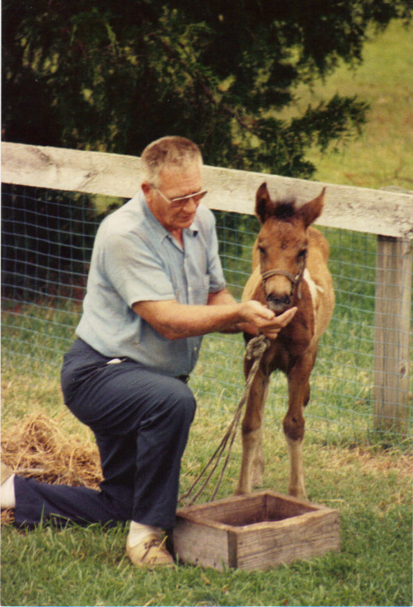 Don Leonard kneels next to a young foal, gently holding its head near a wooden trough.