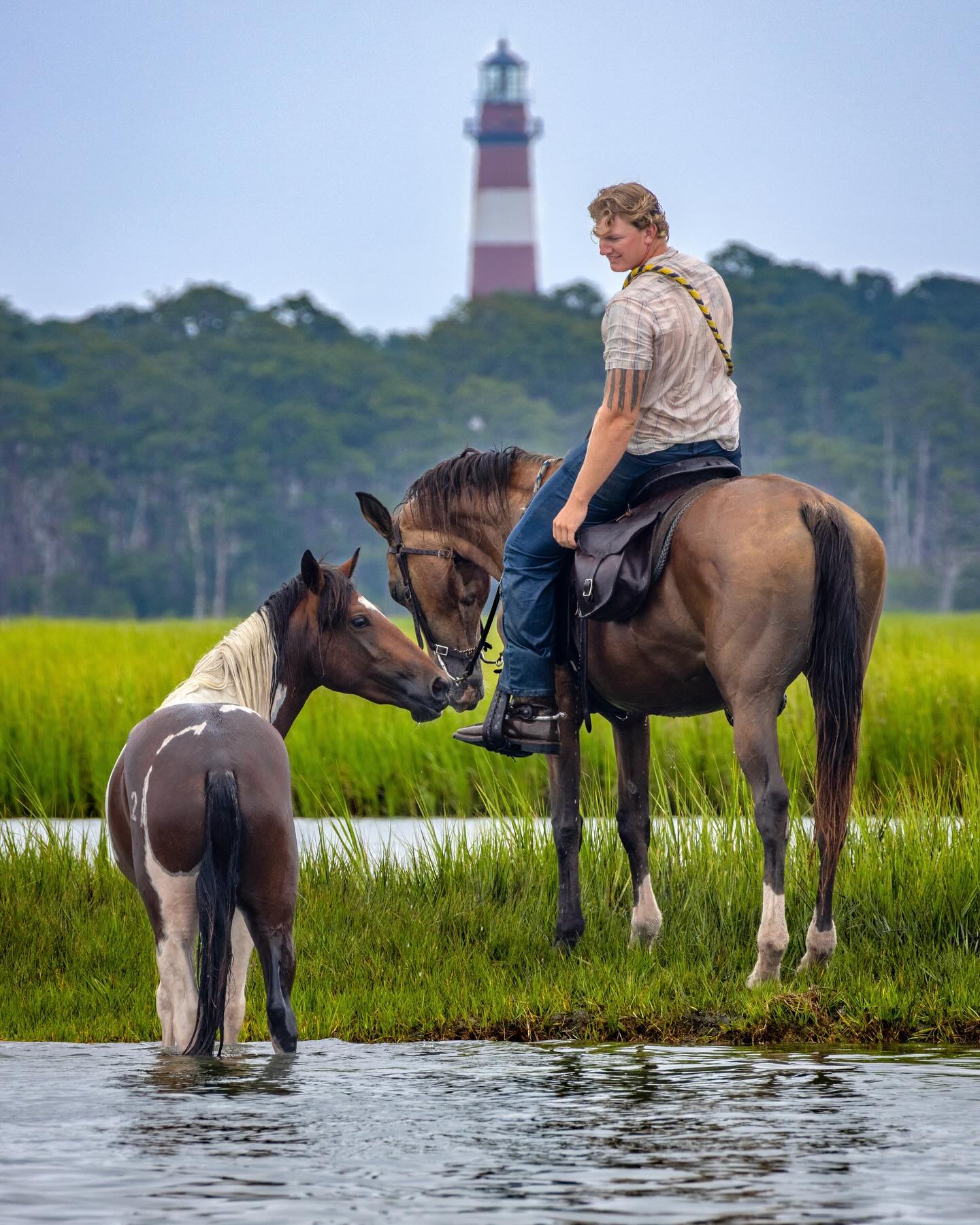A Saltwater Cowboy on horseback watches over a buyback foal during the Pony Swim.