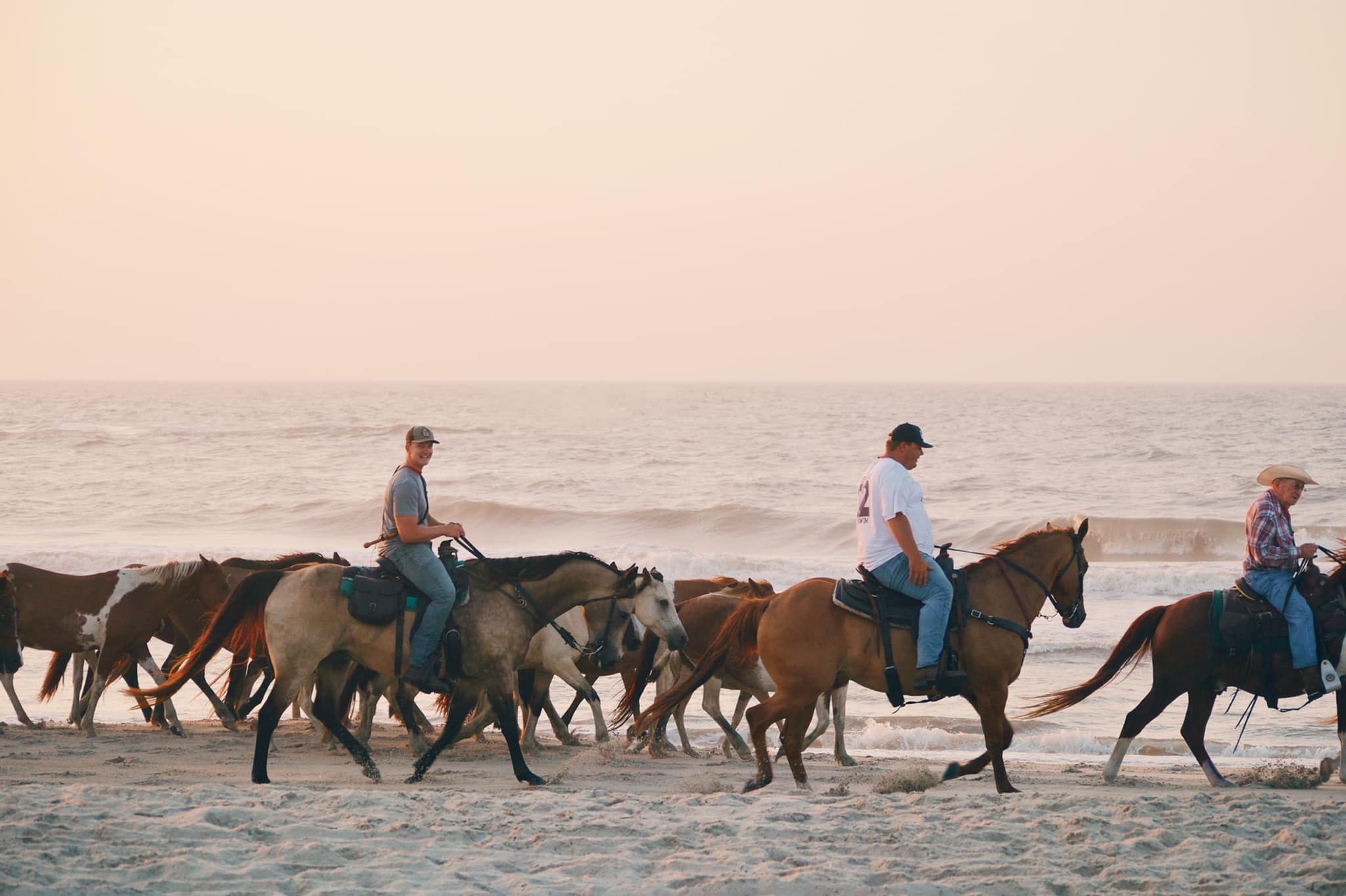 Saltwater Cowboys riding with the herd along the beach at dawn on the Monday beach walk of Pony Penning week, Assateague Island.