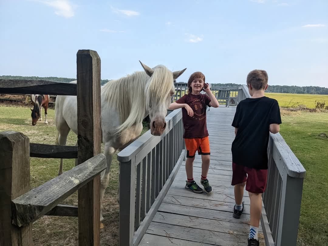 Two young visitors at the fence at the Refuge Inn, a white Chincoteague pony leaning over the rail to say hello.