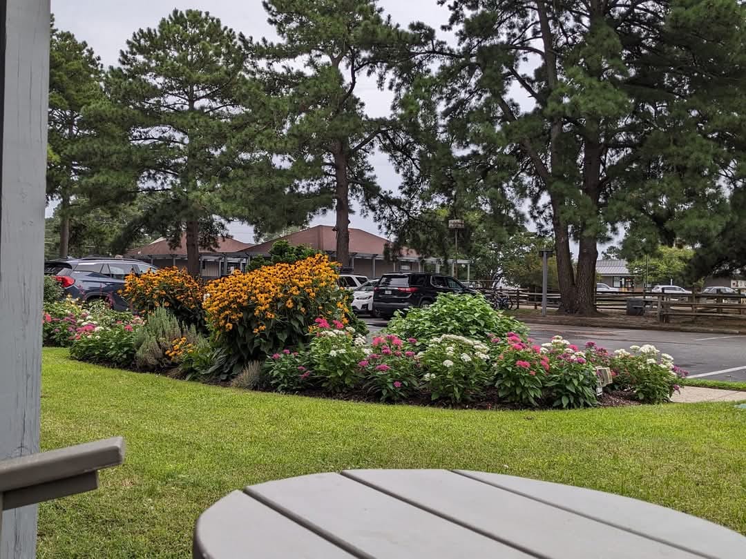 Flowerbeds in front of the Refuge Inn, with the pines and the parking lot behind.