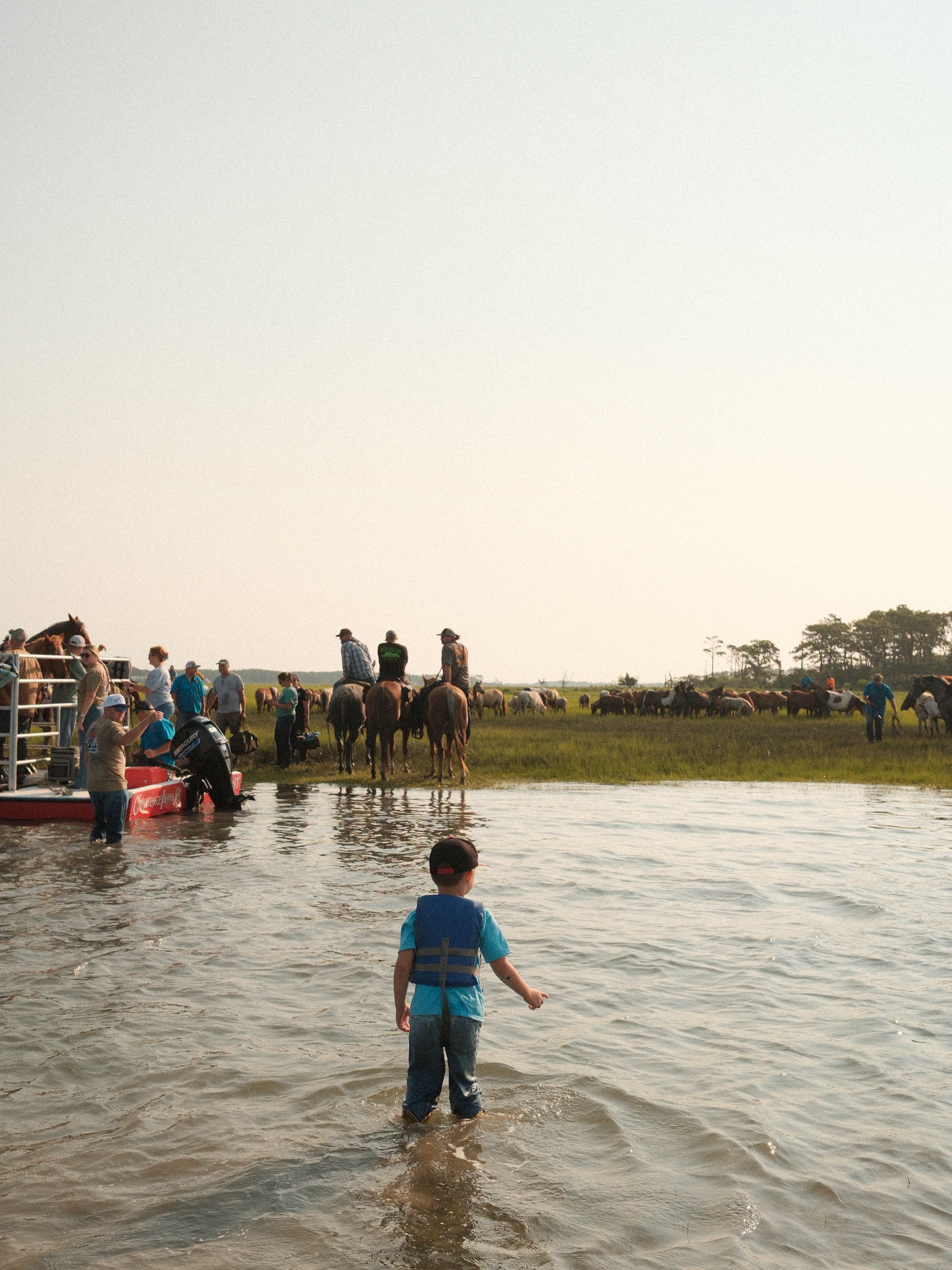 A child standing in the shallows at dawn watching the Saltwater Cowboys bring the herd in at a Chincoteague pony roundup.