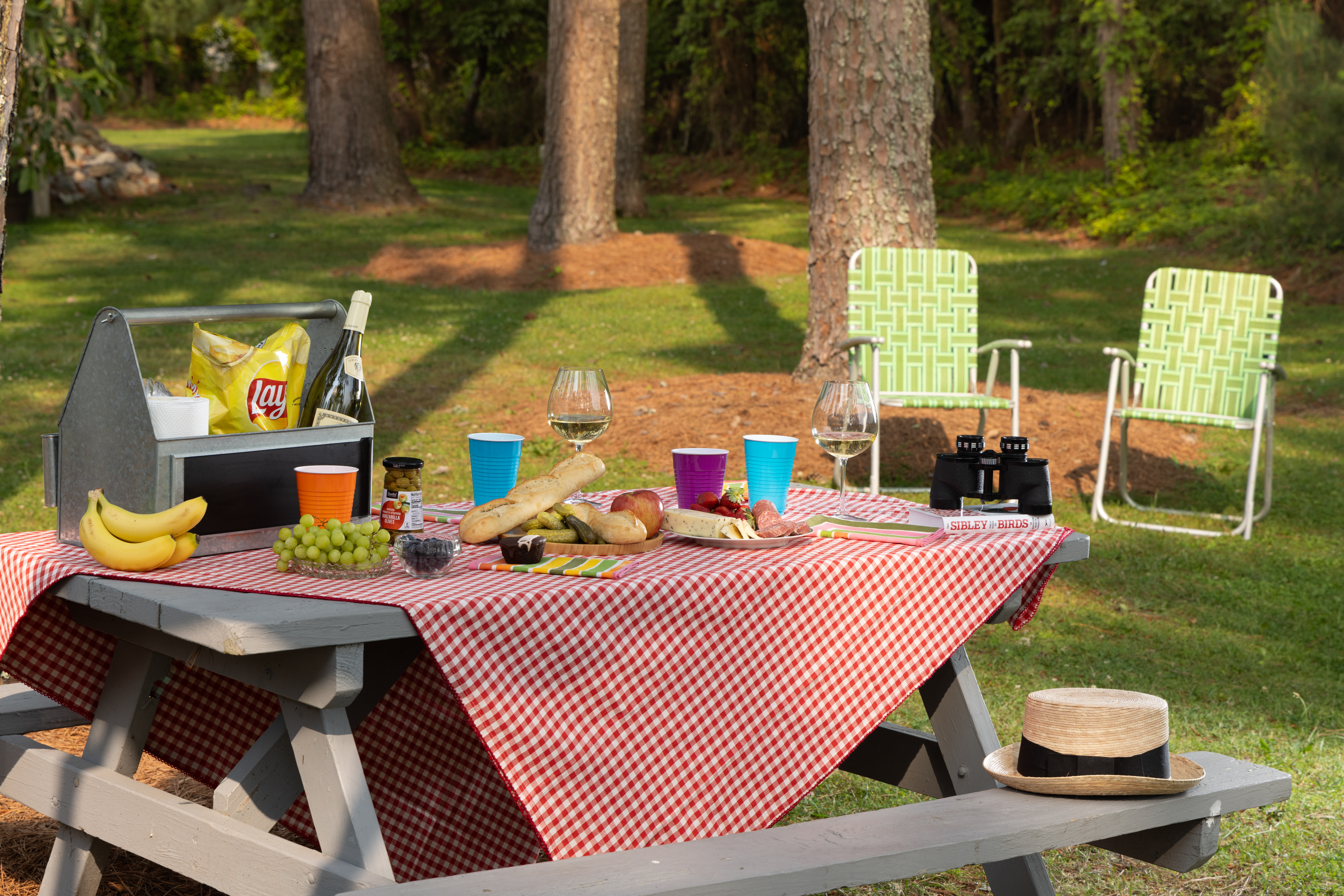 A picnic table under the pines at the Refuge Inn, set with a gingham cloth, a cooler, bread and fruit, with lawn chairs and binoculars nearby.