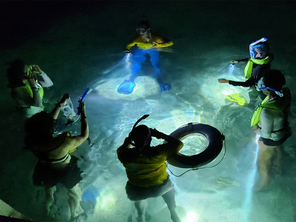 Scuba Diving Trips & Tours near Tobacco Caye in Belize