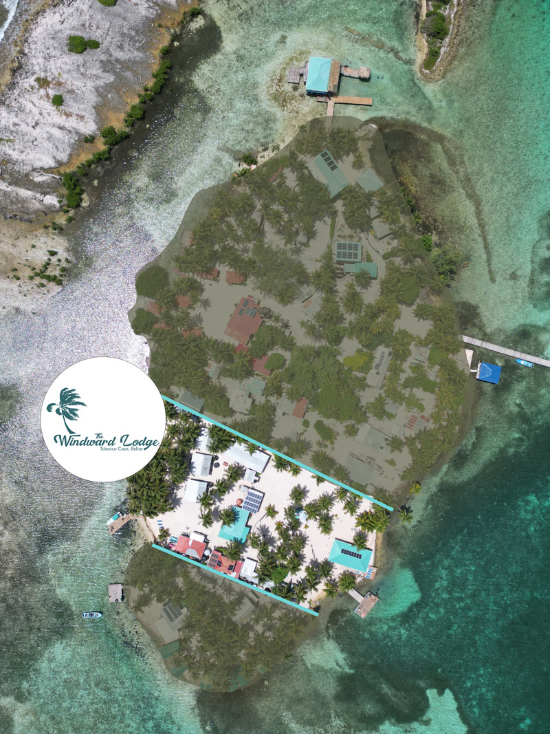 tobacco caye belize map Stay at Our Eco Tourism Retreat for Your Island Vacation in Belize
