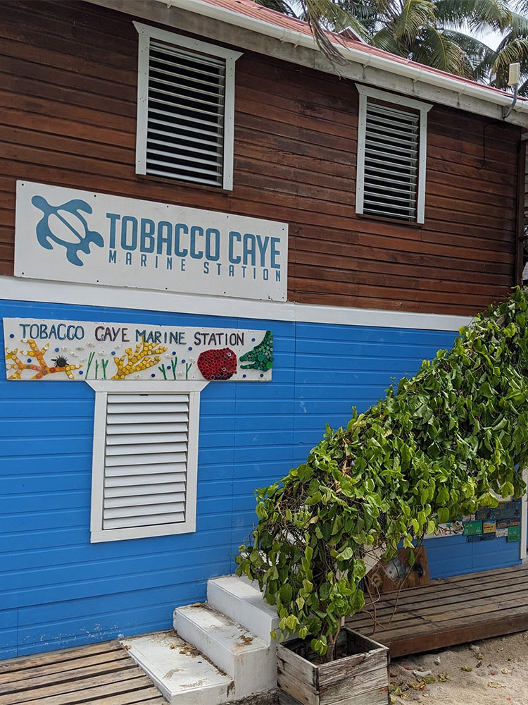 tobacco cigarette shop near me South KC's Discount Smoke and Tobacco Shop | Smoke Hut