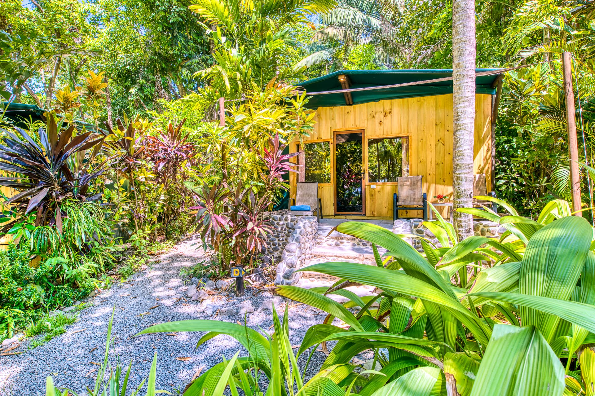 A cozy wooden cabin surrounded by lush tropical plants and a gravel path.