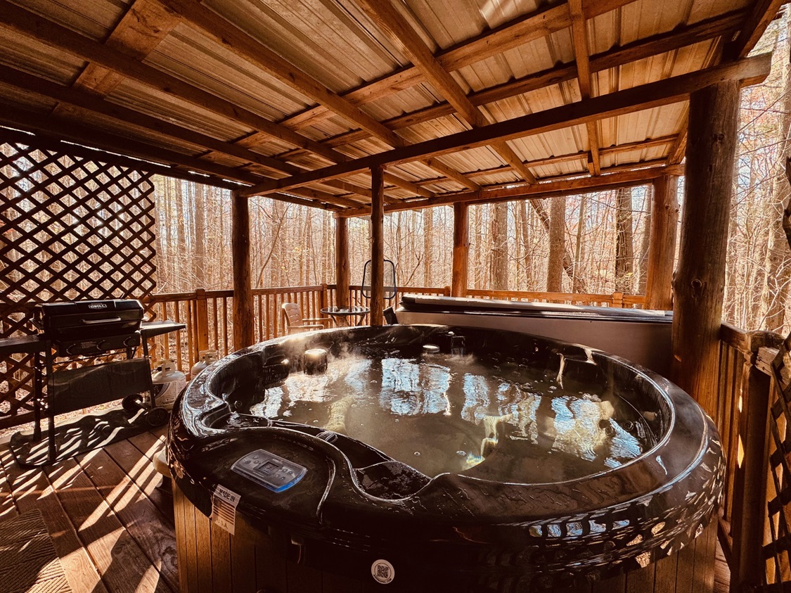 Interior of a cozy cabin featuring wooden walls, a kitchen area, dining table, and a sofa.