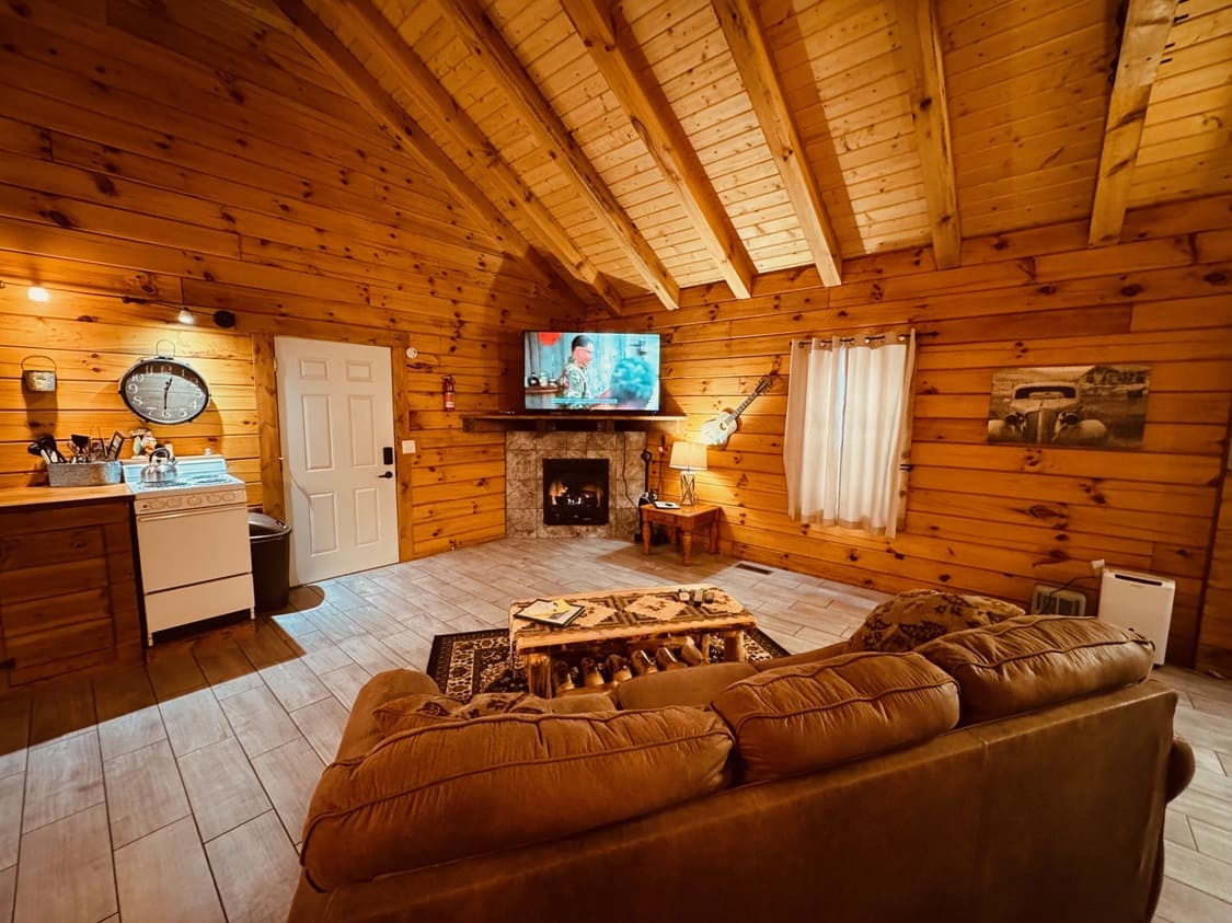 Cozy wooden cabin interior featuring a sofa, TV, and kitchenette with a rustic ambiance.