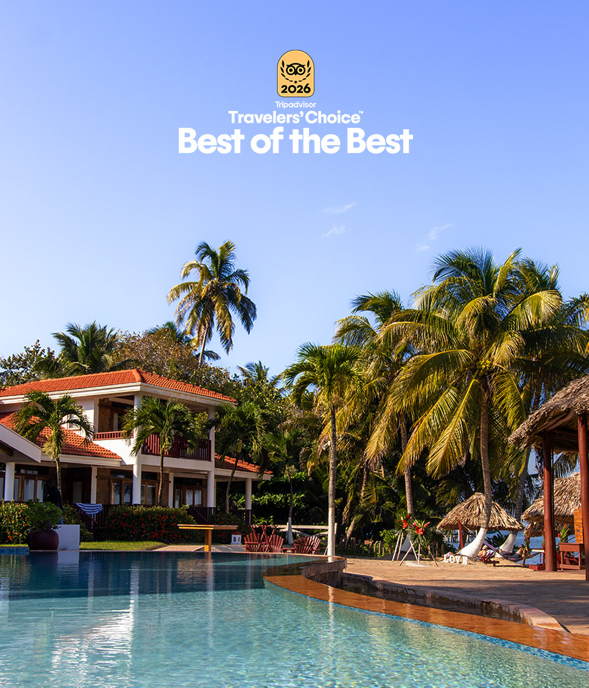 Pool at Belizean Dreans with Tripadivsor Best of the Best logo.