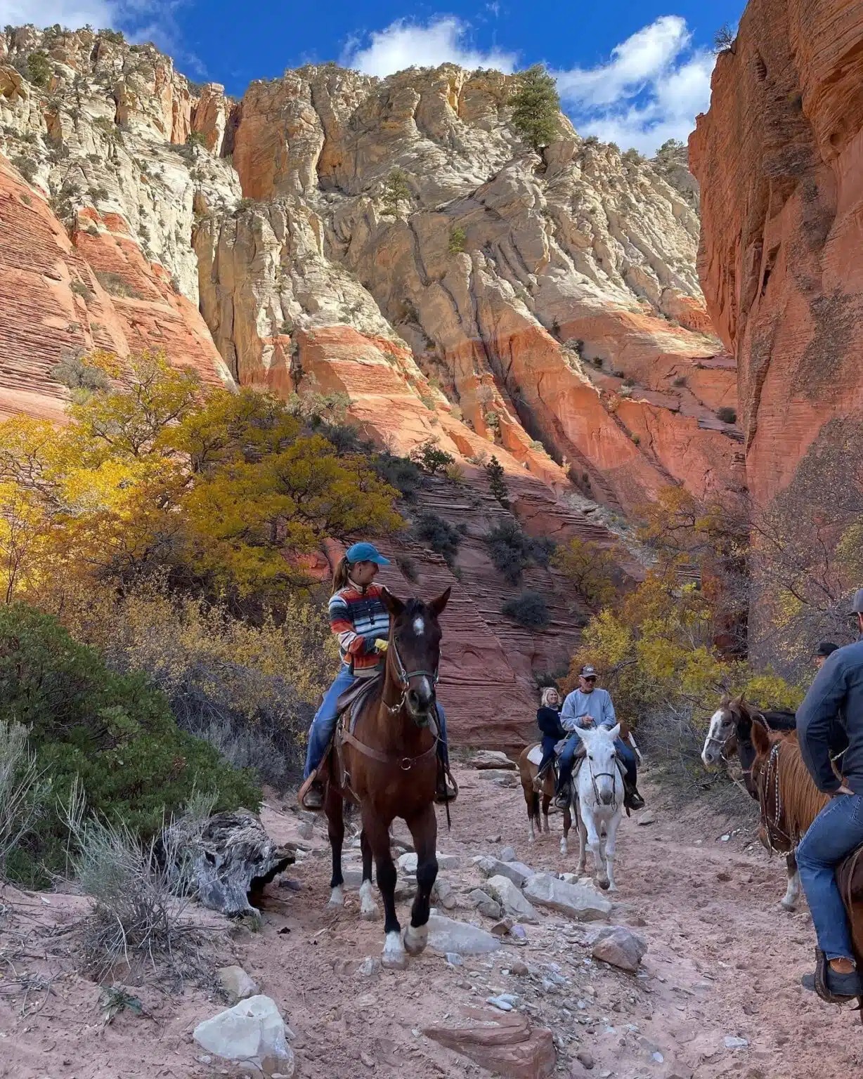 Wellness Elevated: Unlocking Nature's Benefits at Zion Ponderosa 15 Horseback riding in canyons, fall in Zion