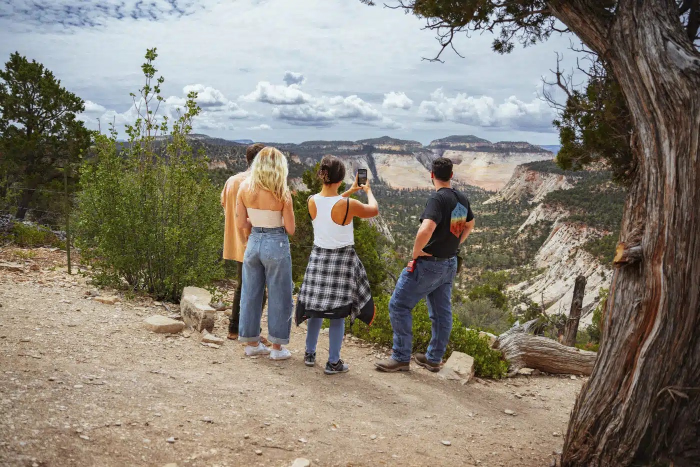 Wellness Elevated: Unlocking Nature's Benefits at Zion Ponderosa 13 20220813 CHECKERBOARD OVERLOOK JEEP 21