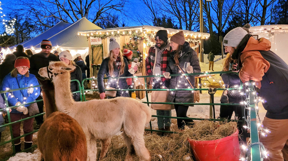 alpacas at christkindlmarkt
