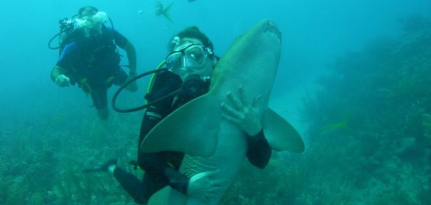 two people scuba diving with one person holding a small shark