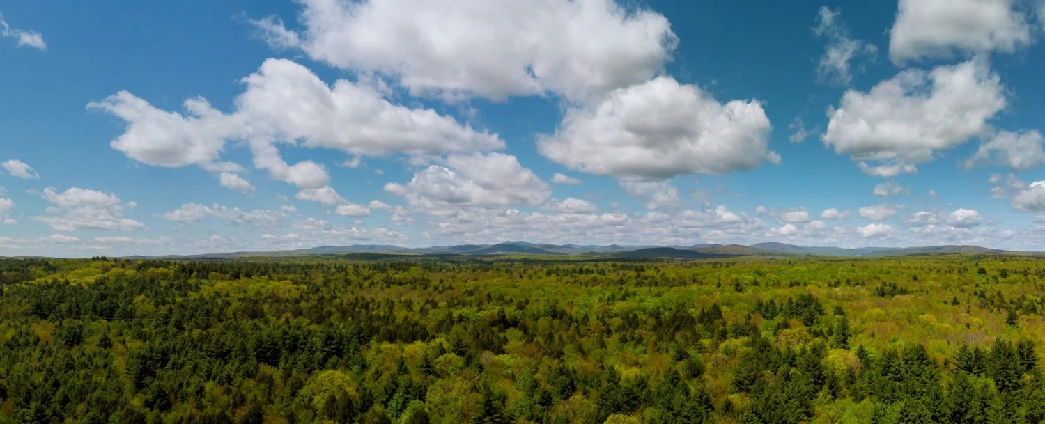 Things to Do and See in the Poconos in March | Mountaintop Lodge