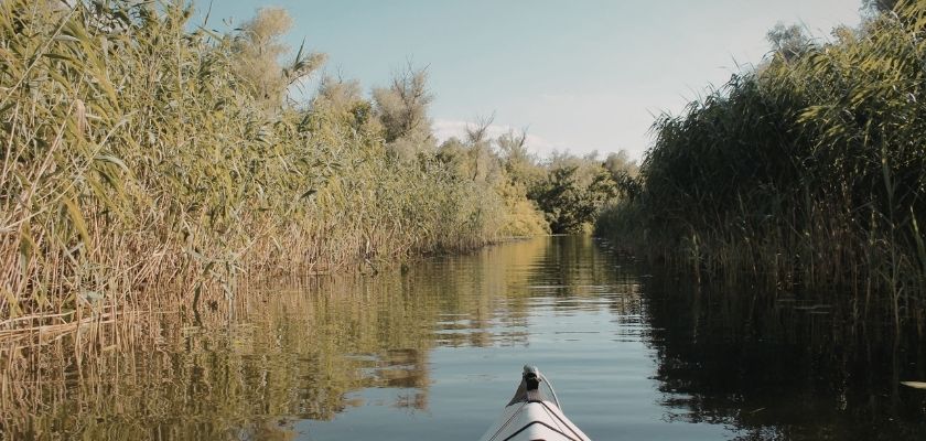 View from a kayak moving through a calm waterway surrounded by tall marsh grasses and greenery.