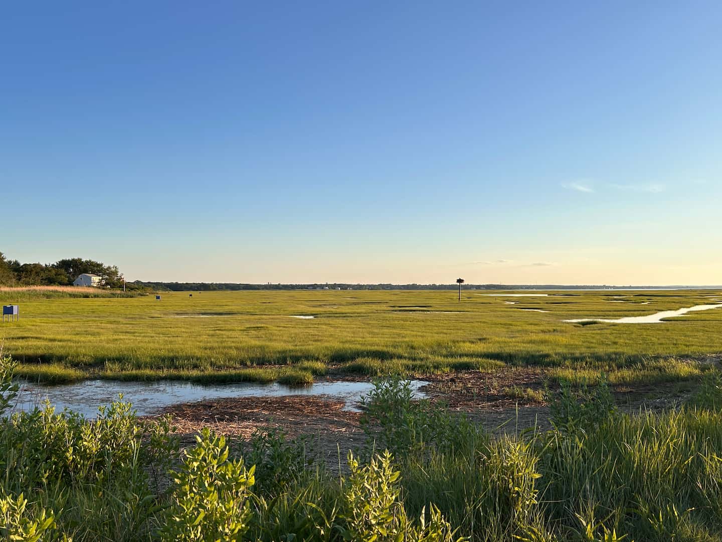 A salt marsh in Cape Cod