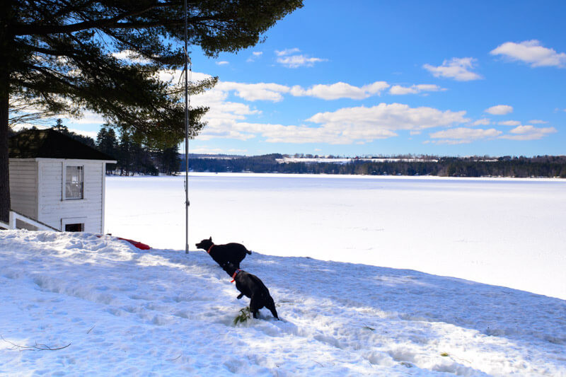winter wonderland