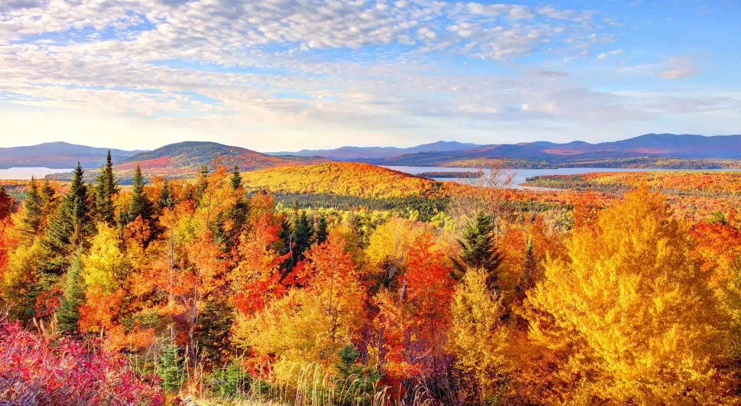Full-Day Adventures for Your Maine Fall Foliage Vacation, image size:1460x800