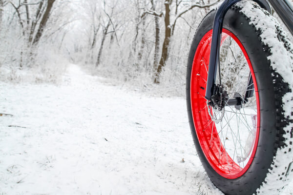 Pineland Farms Fat Tire Biking