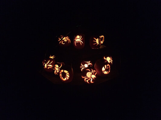McLaughlin Garden Jack O'Lantern Festival In October