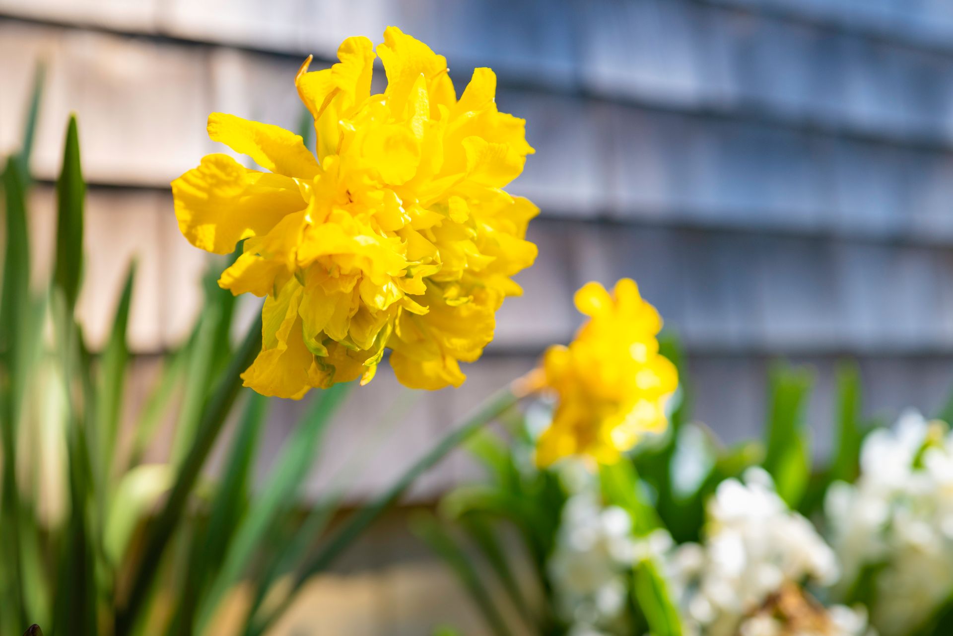 3 Day Spring Itinerary for Chatham, MA - Old Harbor Inn