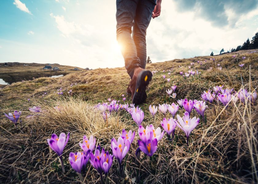 Spring Activities in the Poconos That Bring the Season to Life